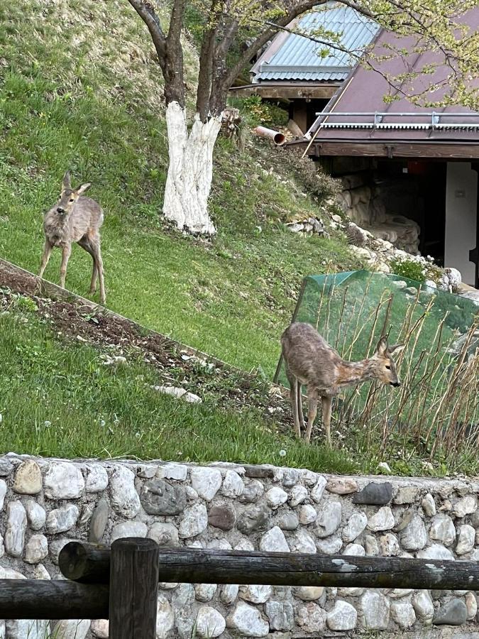 Appartamento In Montagna Venas Exterior foto